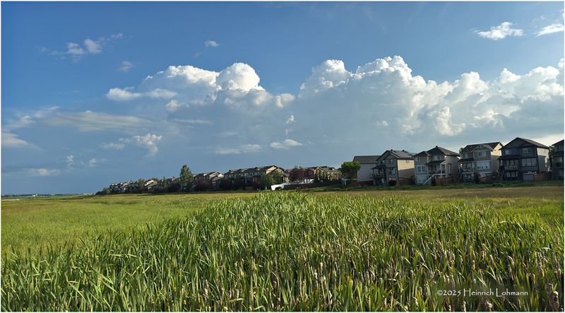 IMG_2174-Airdrie.jpg