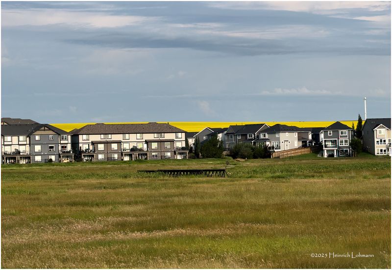 IMG_21700Airdrie.jpg