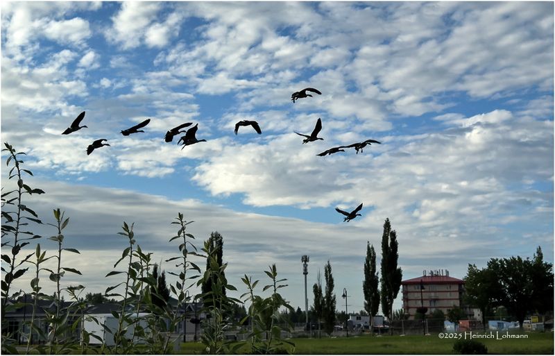 IMG_2363-Flight training.jpg