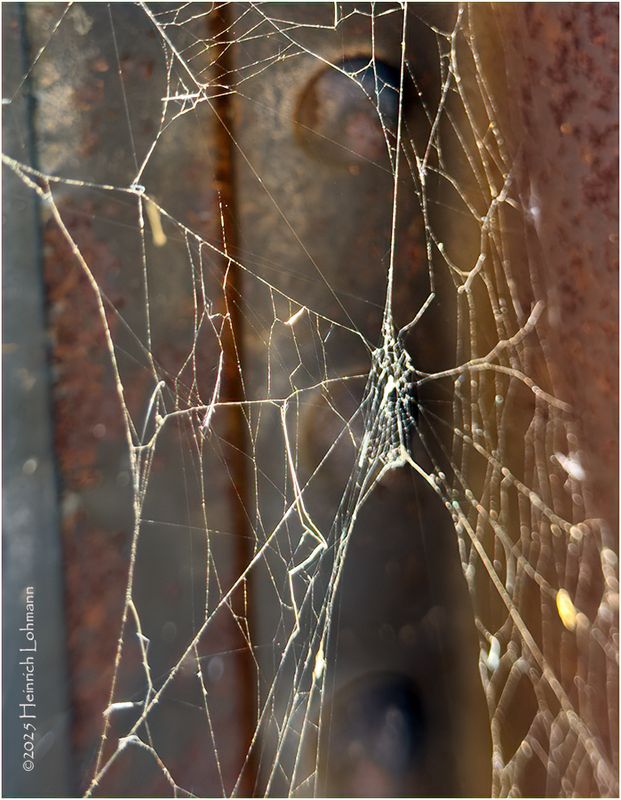 IMG_2875-old web.jpg