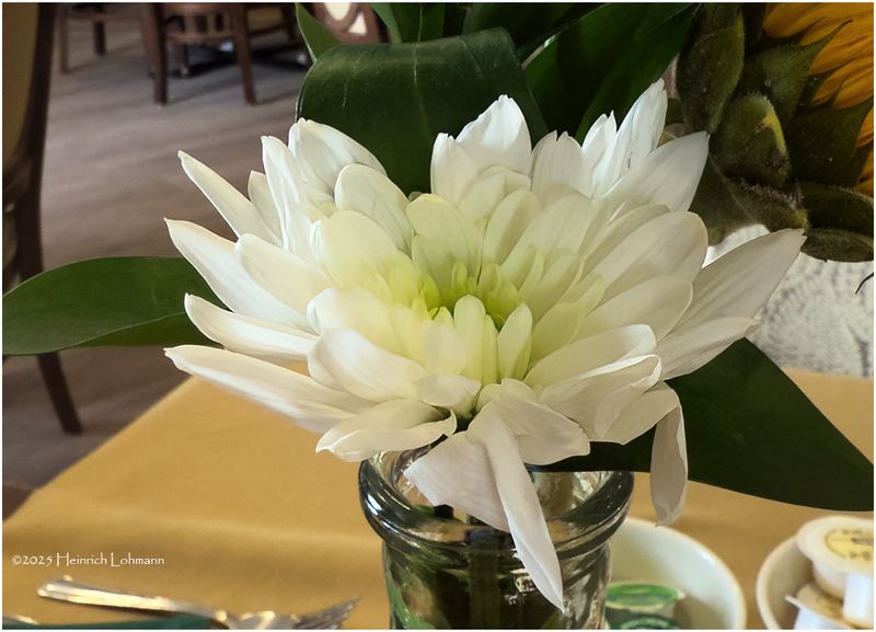 IMG_3801-Table Flower.jpg