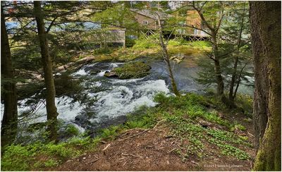 IMG_7478-Ketchikan, Alaska.jpg