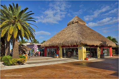 IMG_1135-Cozumel.jpg