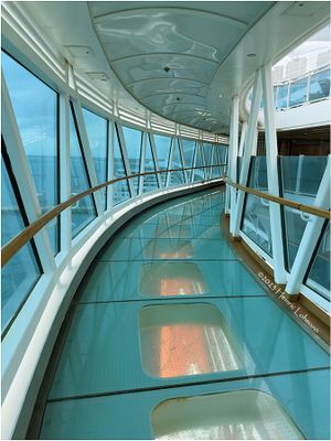 IMG_0699-Regal Princess.jpg
