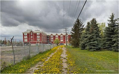 IMG_3303-Airdrie.jpg
