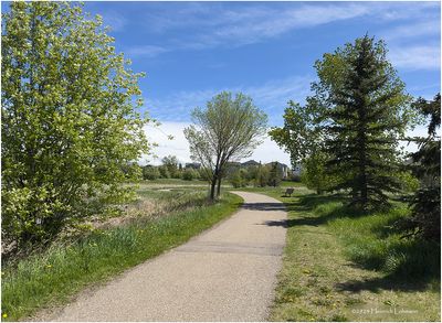IMG_3384-Airdrie.jpg