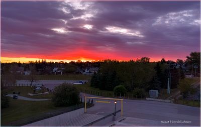 IMG_3401-Airdrie.jpg
