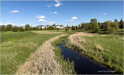 IMG_3404-Airdrie.jpg