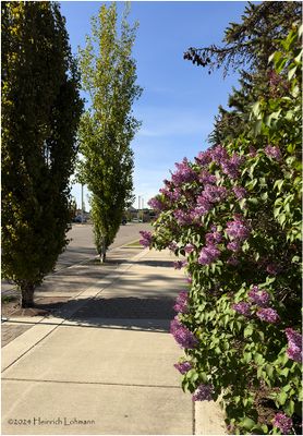 IMG_3414-Airdrie.jpg