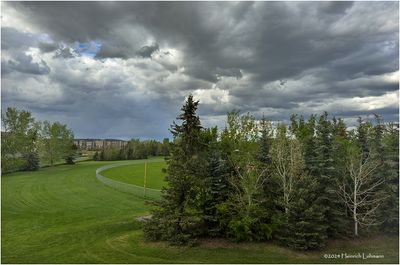 IMG_3457-Airdrie.jpg