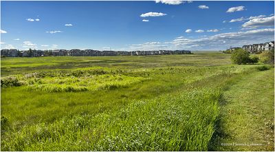 IMG_3463-Airdrie.jpg