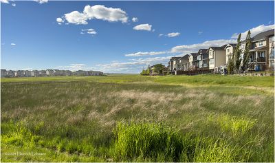 IMG_3465-Airdrie.jpg