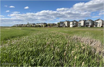 IMG_3469-Airdrie.jpg
