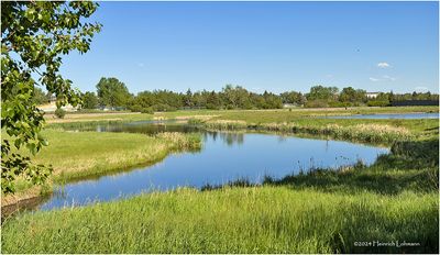 IMG_3494-Airdrie.jpg