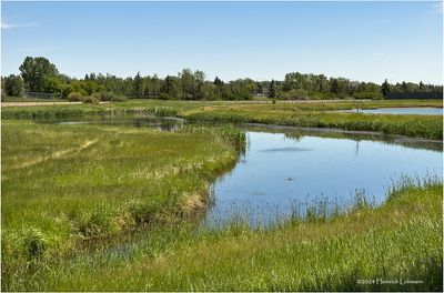 IMG_3559-Airdrie.jpg