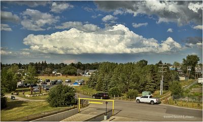 IMG_3569-Airdrie.jpg
