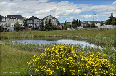 IMG_3581-Airdrie.jpg