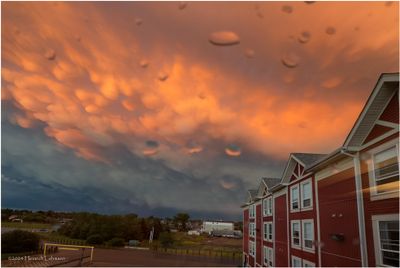 IMG_3721-Airdrie.jpg