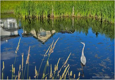 IMG_3750-Airdrie.jpg