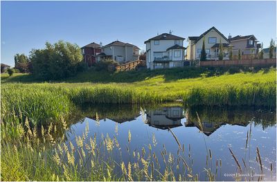 IMG_3773-Airdrie.jpg