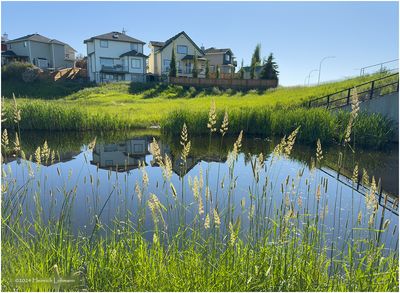IMG_3757-Airdrie.jpg