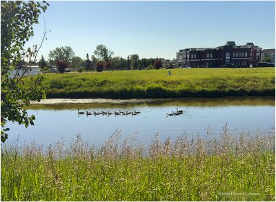IMG_3774 2-Airdrie.jpg