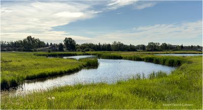 IMG_3821a-Airdrie.jpg