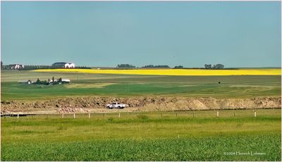 IMG_3845-Airdrie.jpg