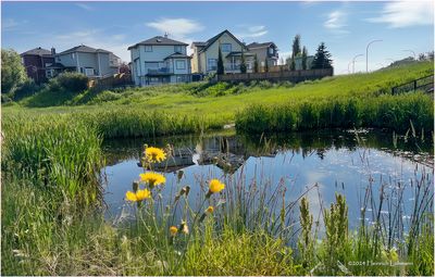IMG_3856-Airdrie.jpg