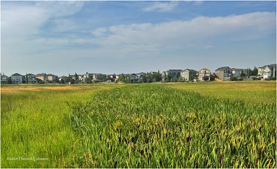 IMG_3886-Airdrie.jpg