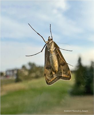 IMG_3902.jpg