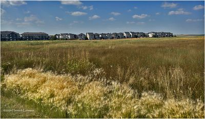 IMG_3985-Airdrie.jpg