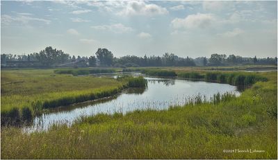 IMG_4042-Airdrie.jpg