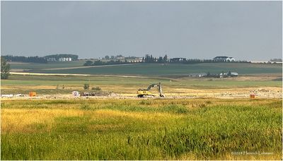 IMG_4047.jpg