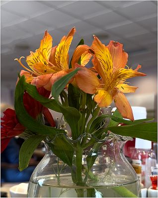 IMG_3995-Table Flowers.jpg