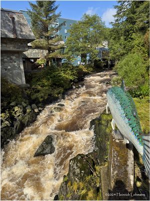 IMG_4186-Ketchikan.jpg