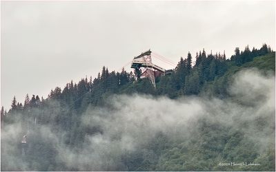 IMG_4457-Juneau.jpg