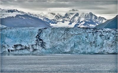 IMG_5218.jpg