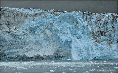 IMG_5264-2-Harvard Glacier.jpg