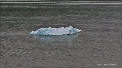 IMG_4848.jpg