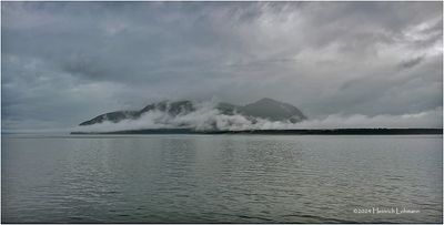 IMG_4937.jpg