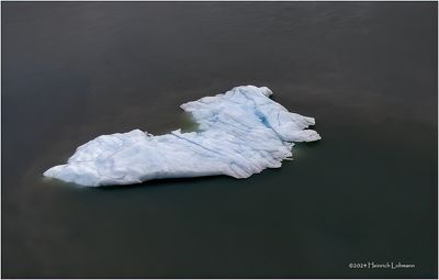 IMG_5568.jpg
