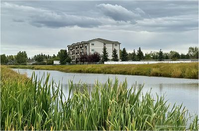 IMG_5979-Airdrie.jpg
