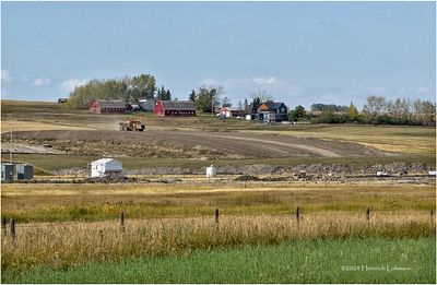 IMG_6034-Airdrie.jpg