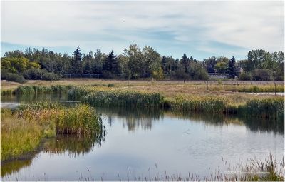 IMG_6052-Airdrie.jpg