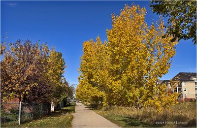 IMG_6104-Airdrie.jpg
