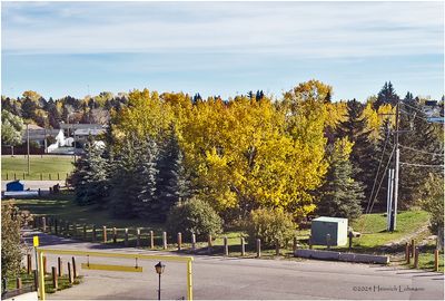 IMG_6106-Airdrie.jpg