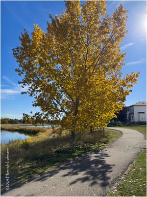 IMG_6115-Airdrie.jpg