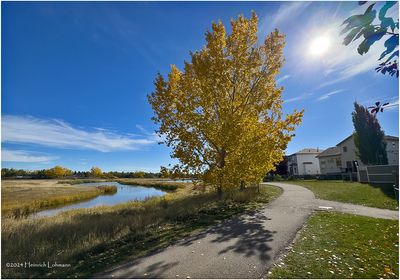 IMG_6117-Airdrie.jpg
