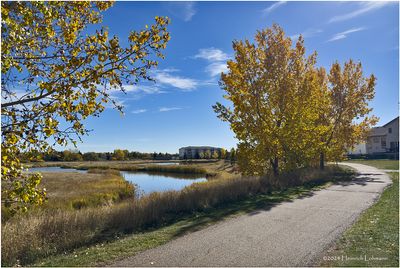 IMG_6121-Airdrie.jpg